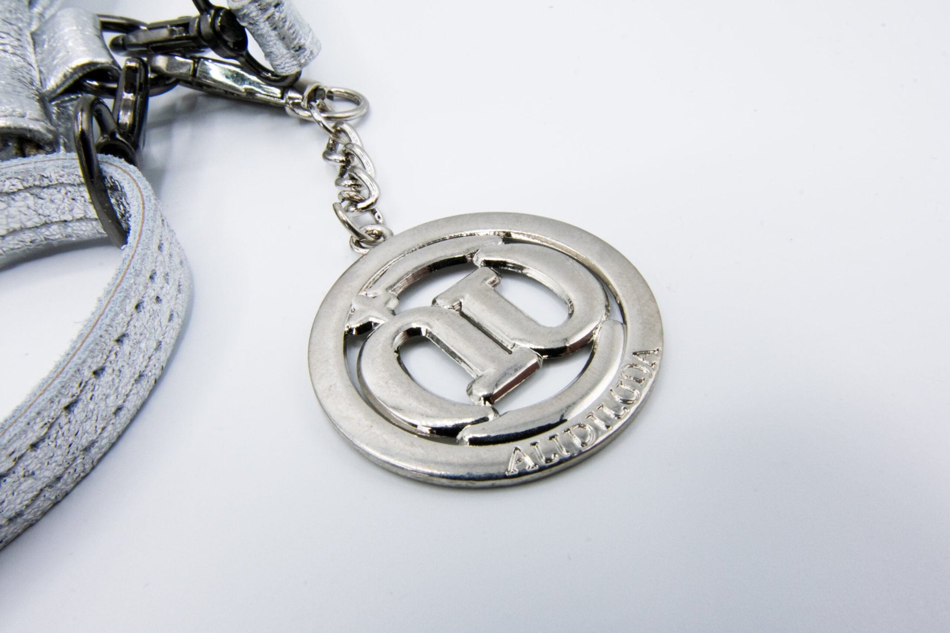 Pochette a tracolla Donna Chiara in vera pelle Argento - Alidiluna